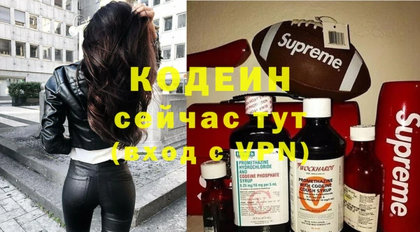 прущие грибы Богданович