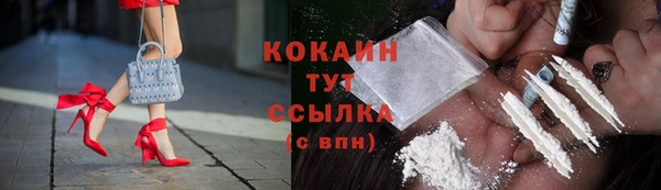 винт Богородицк