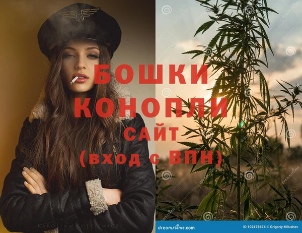 прущие грибы Богданович