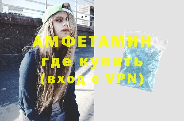 прущие грибы Богданович