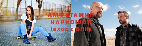 прущие грибы Богданович