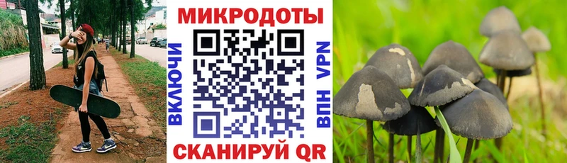 Купить закладки  Сольцы  Псилоцибиновые грибы прущие грибы 