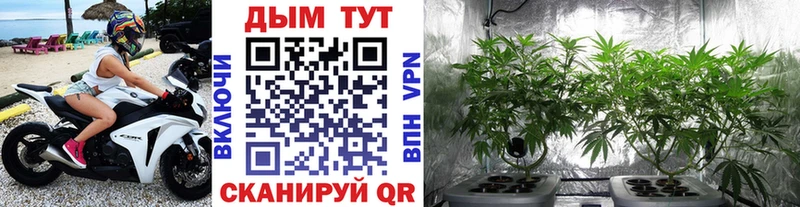 Шишки марихуана гибрид  Купить закладки  Сольцы 